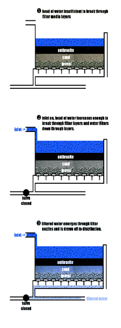 media placement diagram