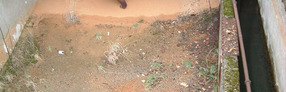 Filter Refurbishment